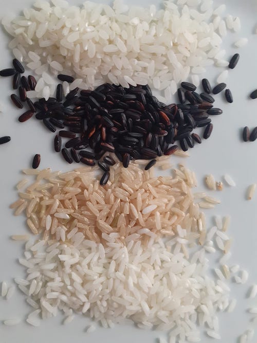 diferentes variedades de arroz