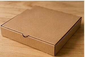 Você pode colocar uma caixa de pizza no forno