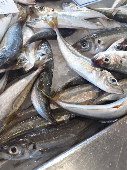 peixe