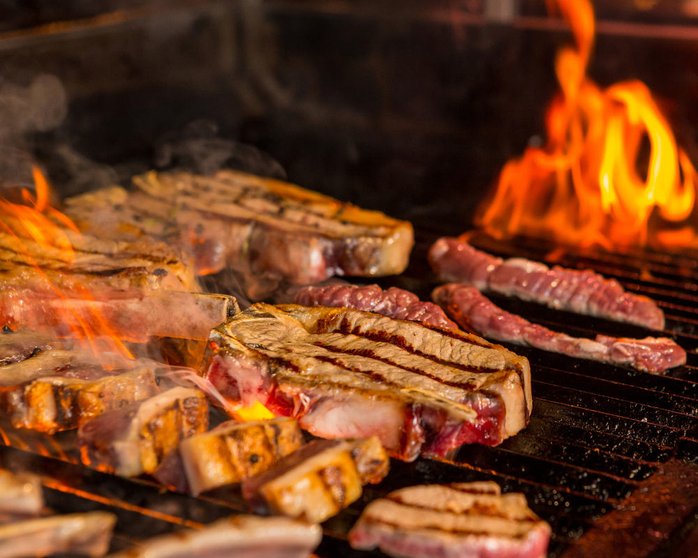 A Carne De Alce É Boa Para Comer ?