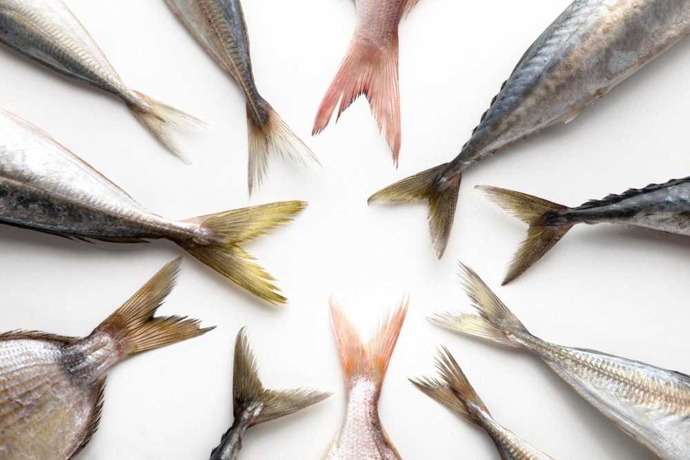 Peixe